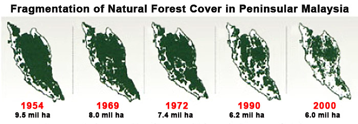 Fragmentation_of_Natural_Forest_Cover_in_Peninsular_Malaysia-1.jpeg